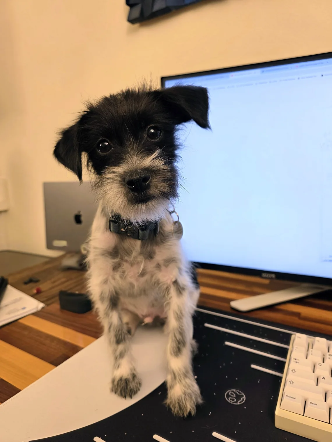 pixel